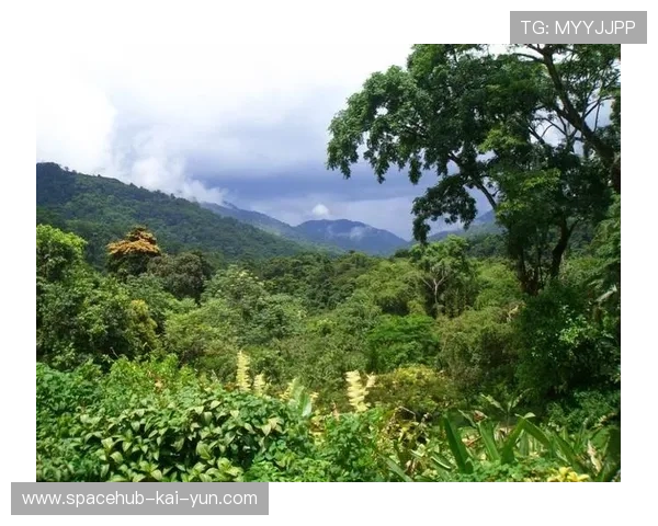 特立尼达和多巴哥举办多项全民体育活动，特立尼达和多巴哥在哪儿